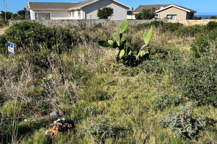 0 Bedroom Property for Sale in Fountains Estate Eastern Cape